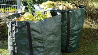 garden-waste-1047259_1920